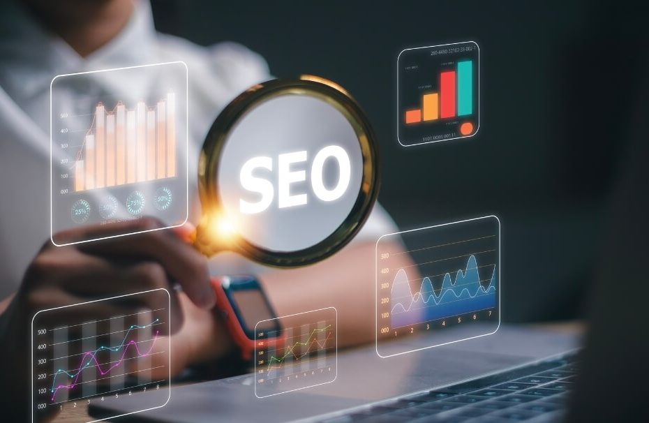 Paid vs organic traffic